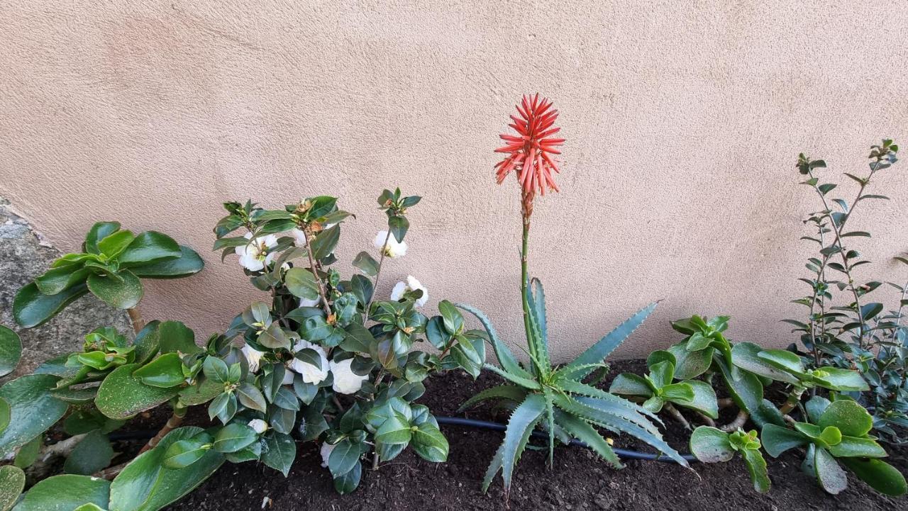 Residence Le Bella Vista 皮亚纳 外观 照片